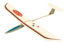 Bingo Glider AN-102100 Aero-naut 1