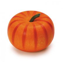 Pumpkin ER12331 Erzi 1