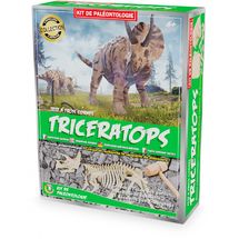 Excavation Kit - Triceratops UL2821 Ulysse 1