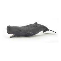 Baby sperm whale figure PA56045 Papo 1