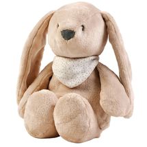 Night Light Cuddly Rabbit Sleepy - beige NA876582 Nattou 1