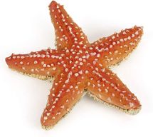 Starfish figure PA-56050 Papo 1
