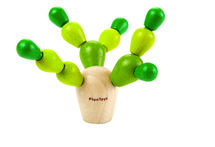 Mini Mikado Cactus PT4130 Plan Toys, The green company 1