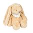 Night Light Cuddly Rabbit Sleepy NA876551 Nattou 1
