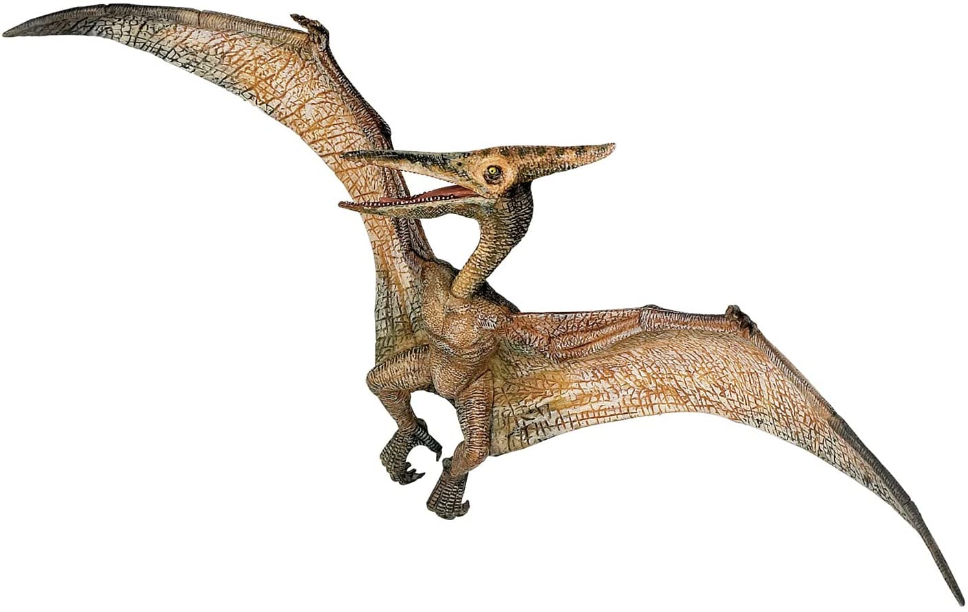 ポピー プラノドン Papo figurine, 55006 Pteranodon, plastic figurine