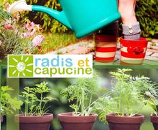 Kit DIY à planter pour enfants - Radis et Capucine