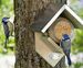 Nest boxes and birdhouses