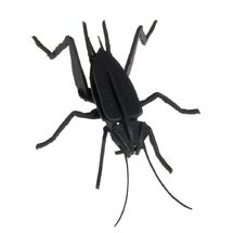 3D Paper model - Cricket FRI-11603 Fridolin 1