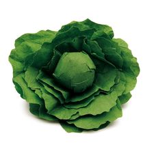 Lettuce ER12280 Erzi 1