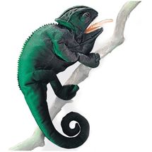Handpuppet Chameleon FO-2215 Folkmanis 1
