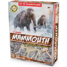Excavation Kit - Mammoth UL2826 Ulysse 1