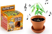 I grow my Dancing Plant RC-028733 Radis et Capucine 1