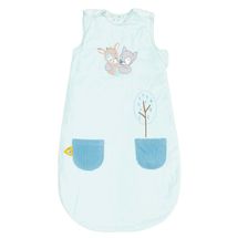 Sleeping bag Tim and Tiloo 90 cm NA498463 Nattou 1