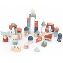 Building blocks 50 pieces SM-SP1009 Speedy Monkey 1