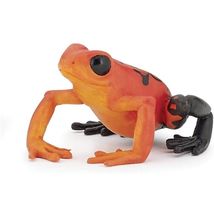 Equatorial red frog figure PA50193 Papo 1