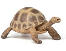 Hermann's Turtle Figurine PA-50264 Papo 1