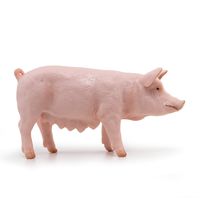 Sow Figurine PA-51188 Papo 1