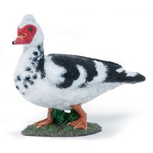 Muscovy Duck Figurine PA-51189 Papo 1