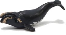 Figurine young right whale PA-56057 Papo 1