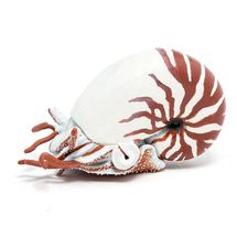 Nautilus figure PA-56061 Papo 1