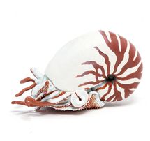 Nautilus figure PA-56061 Papo 1