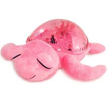 Tranquil Turtle - Pink CloudB-7423-PK Cloud b 1