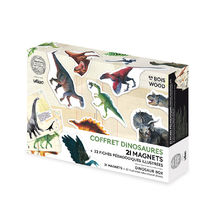 Set of 21 dinosaur magnets V9624 Vilac 1