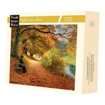Wooded path in autumn by Brendekilde A1193-750 Puzzle Michele Wilson 1