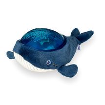 Projector Whale Aqua Dream PAB-AAQ01-TEALWHALE Pabobo 1