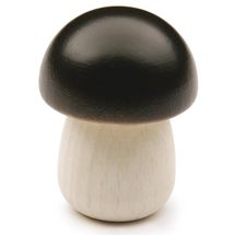 Yellow Boletus ER12260 Erzi 1