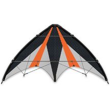 Air Sport Synergy 125 GX kite GU-1028 Günther 1