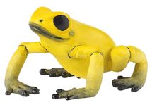 Equatorial yellow frog figure PA50174 Papo 1