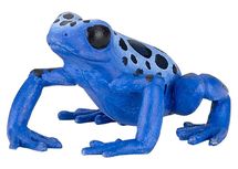 Equatorial Blue frog figure PA50175 Papo 1