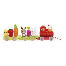 Pull-along Farm Train J03314 Janod 1