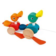 Duck Family to pull J08211-5287 Janod 1