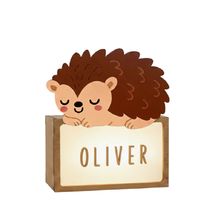 Customizable lamp - Hedgehog VI-LSP23 Vintiun 1