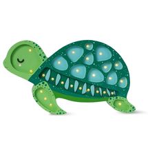 Little Lights Turtle Lamp Ocean Green LL077-336 Little Lights 1