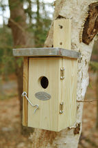 Nest box wren ED-NKN Esschert Design 1