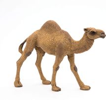 Dromedary figure PA50151-3375 Papo 1