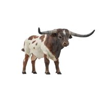 Longhorn Bull Figurine PA-51156 Papo 1