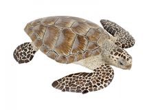 Loggerhead Turtle Figurine PA56005-2937 Papo 1