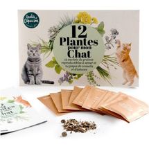 Cat plant seeds RC-140947 Radis et Capucine 1