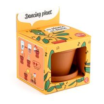 I grow my Dancing Plant RC-028733 Radis et Capucine 1