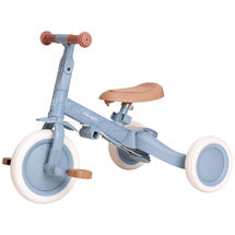 4-in-1 blue tricycle LD6080-BLUE Little Dutch 1