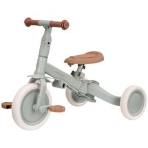 4-in-1 green tricycle LD6080-GREEN Little Dutch 1