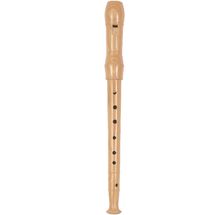 Recorder GK-UC076 Goki 1