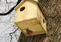 Squirrel house ED-WA10 Esschert Design 1