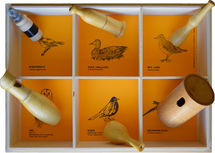 Set of Birds calls - American Birds QBC-americanbirds Quelle est Belle Company 1