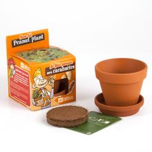 I grow my Peanuts RC-014264 Radis et Capucine 1