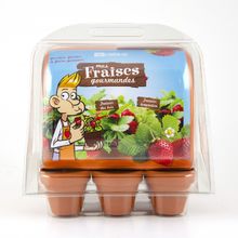 Mini greenhouse - Strawberries RC-033237 Radis et Capucine 1